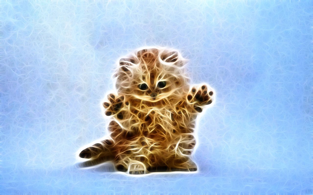 3d рисунки котиков фото