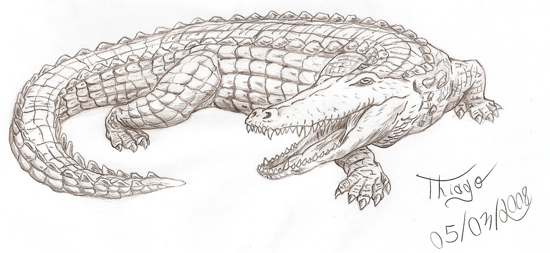3d рисунок крокодила фото