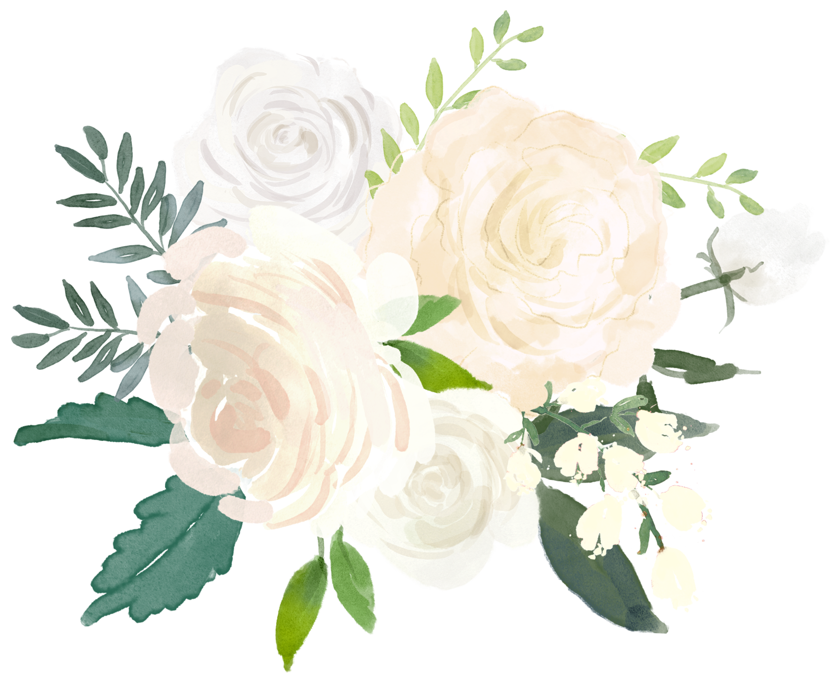 Акварельные белые цветы на прозрачном фоне фото