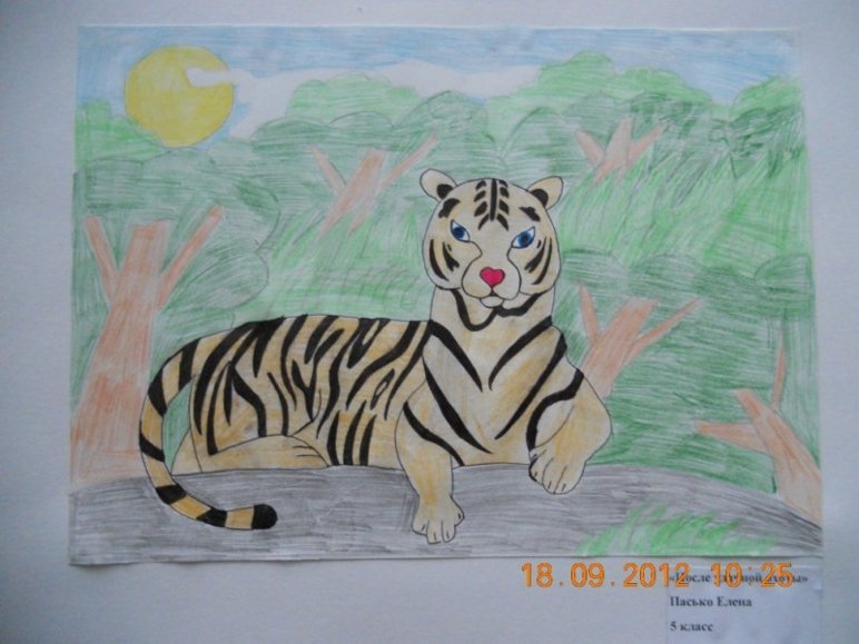Амурский тигр рисунок детский рисунок фото