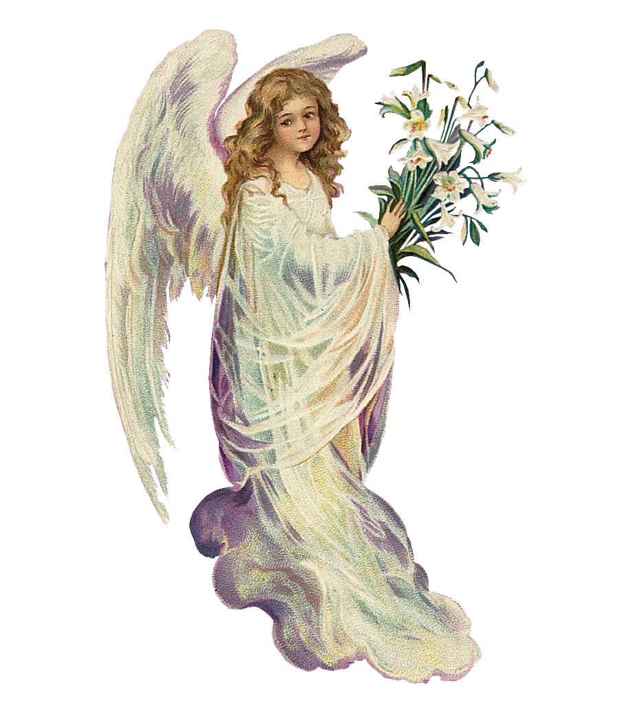 Ангел с цветами на прозрачном фоне фото