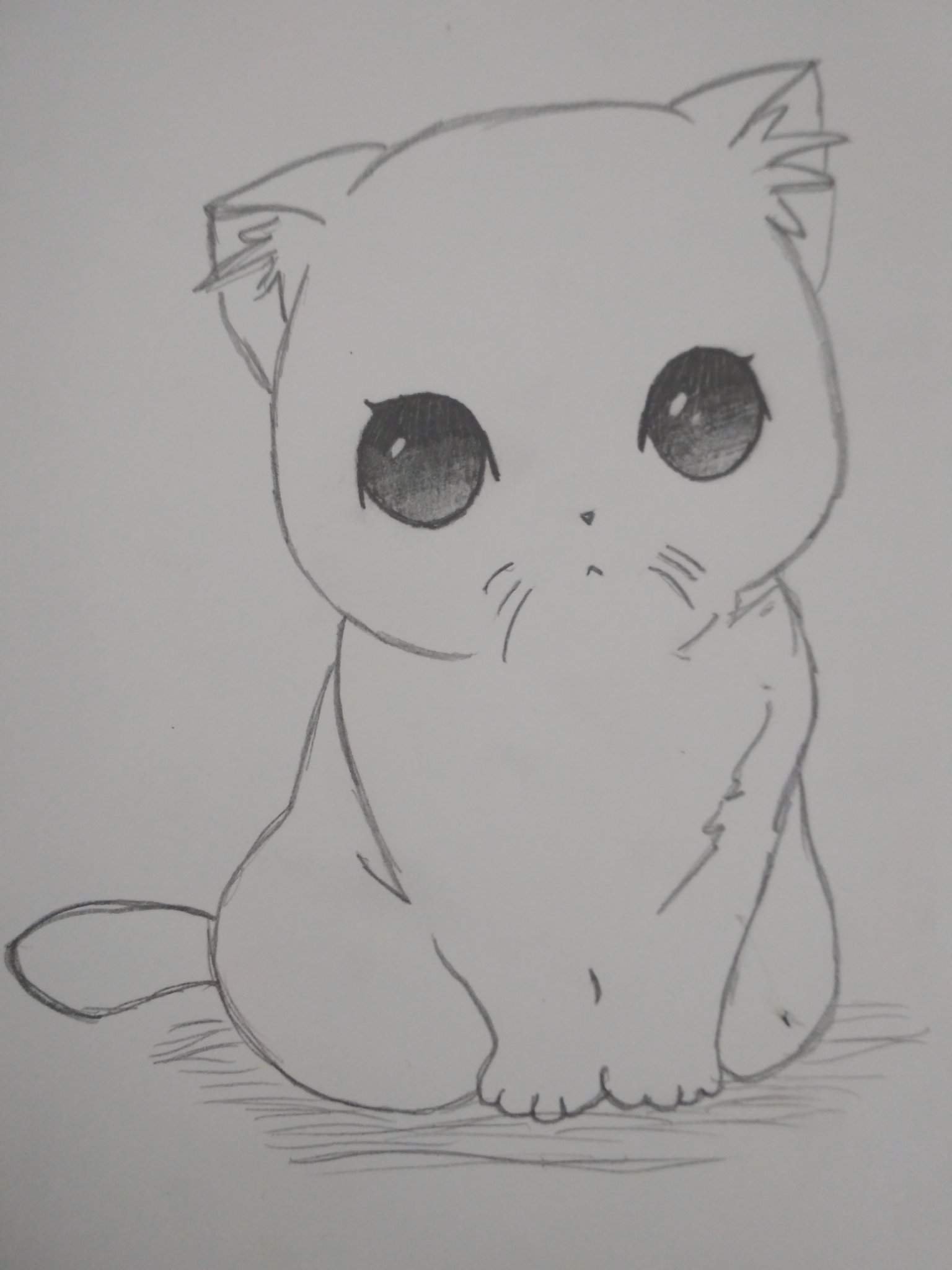 Аниме котик рисунок карандашом легко фото
