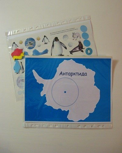 Аппликации антарктида фото