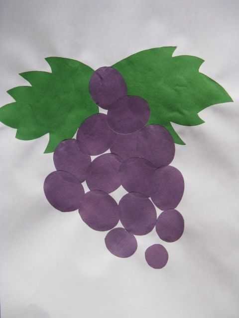 Аппликации ветка винограда фото