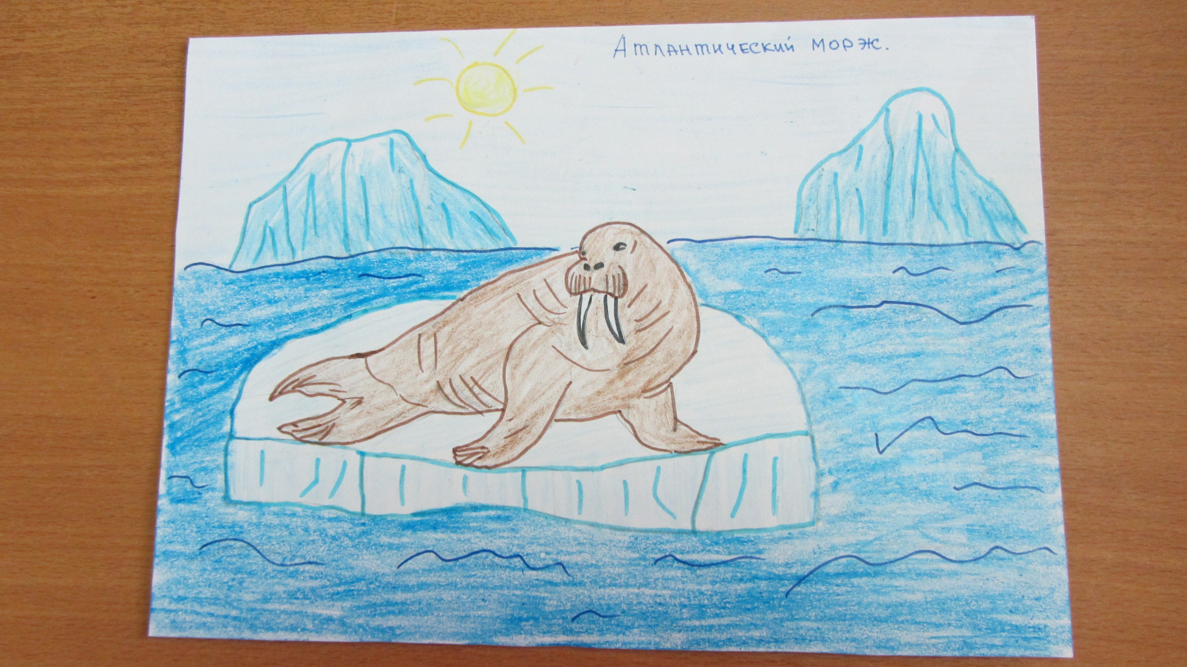 Арктика рисунки детей поэтапно фото