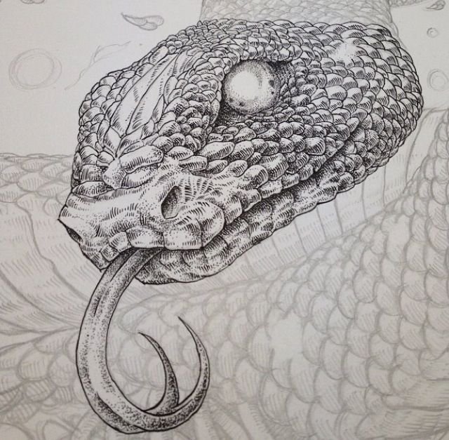 Арт рисунок змея фото