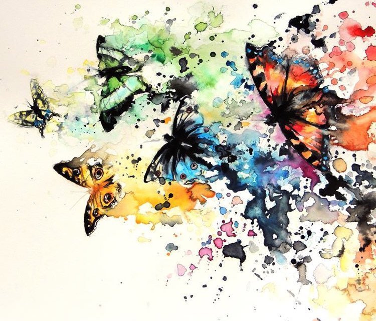 Бабочка арт рисунок фото