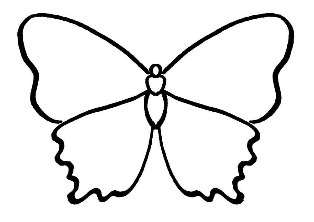 Бабочка контурный рисунок фото