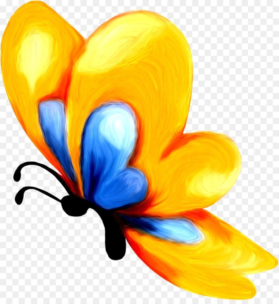 Бабочка на цветке рисунок детский фото