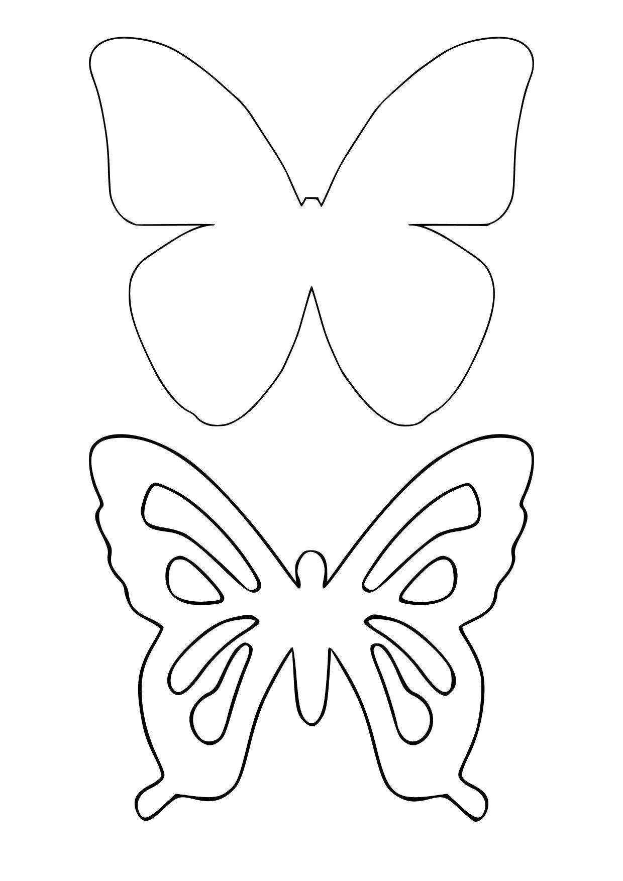 Бабочка рисунок трафарет для поделки фото