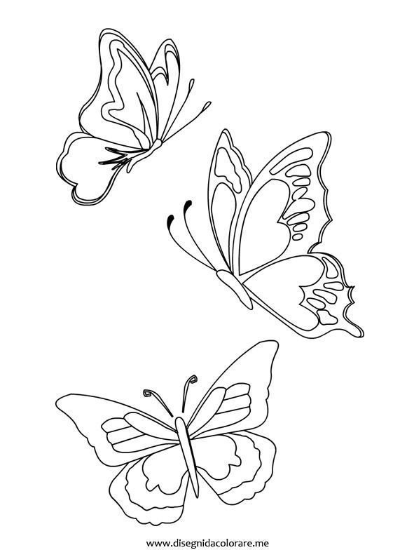 Бабочки контурные рисунки для вырезания фото