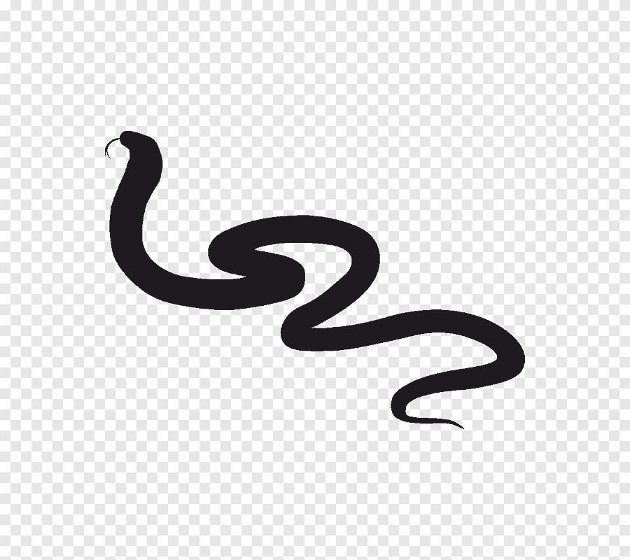 Белая змея на черном фоне рисунок фото