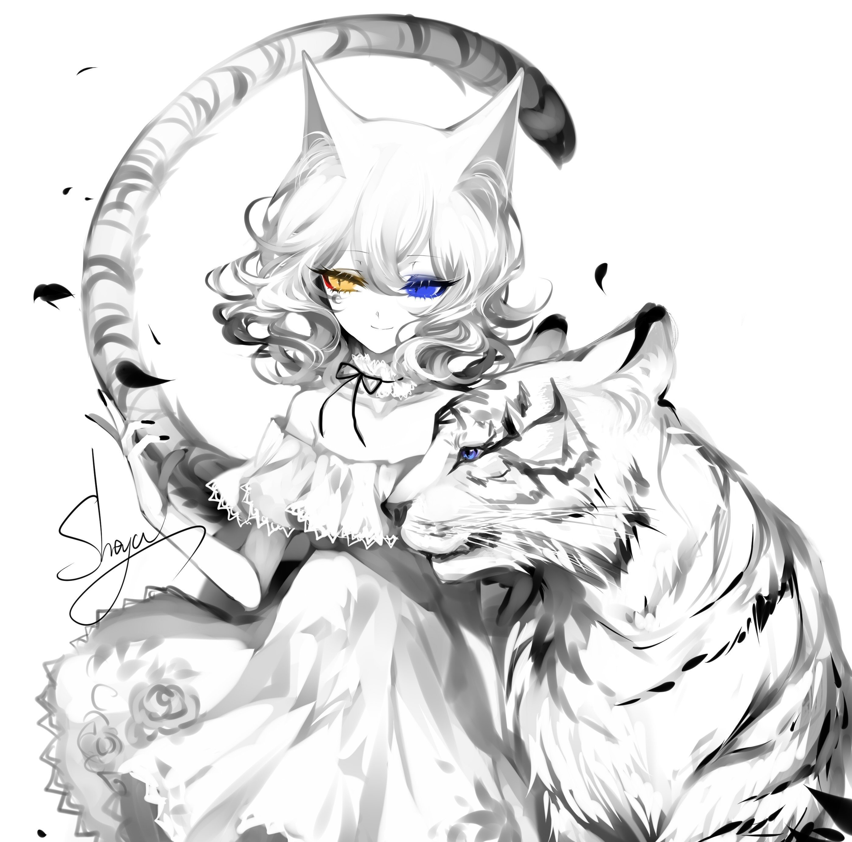 Белый котик рисунки аниме фото