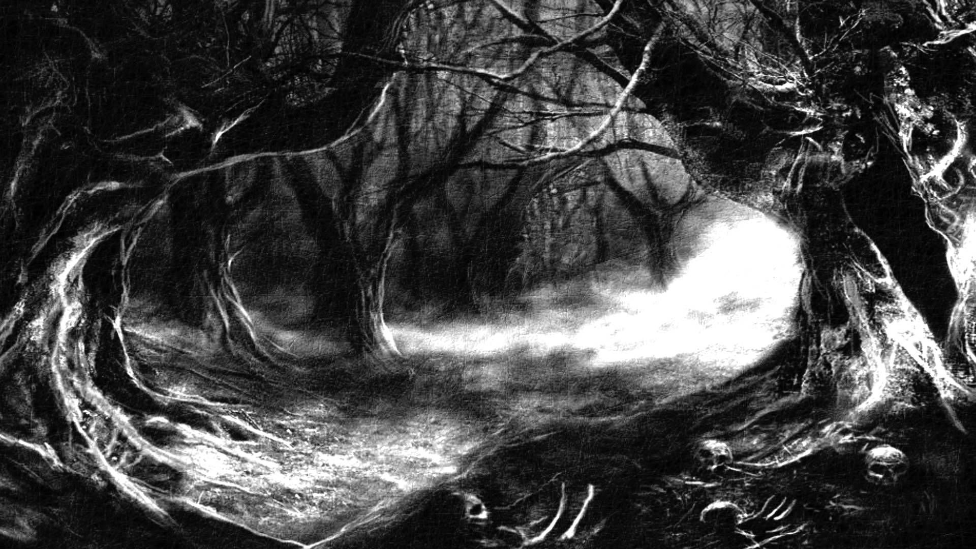 Белый лес на черном фоне рисунок фото
