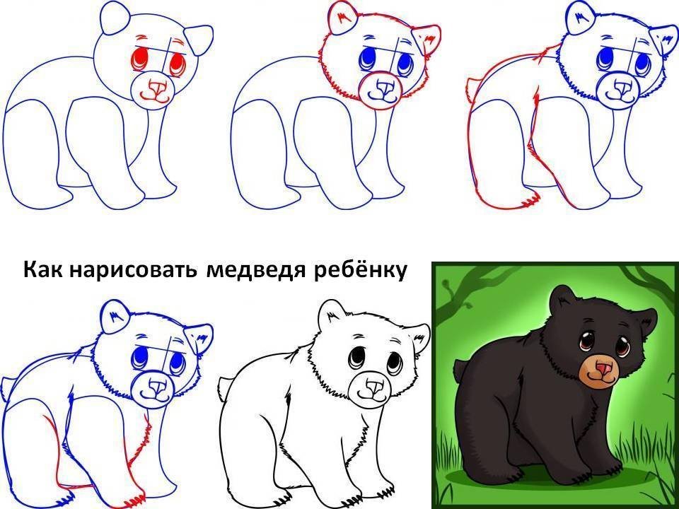 Белый медведь рисунок для детей карандашом поэтапно легко фото