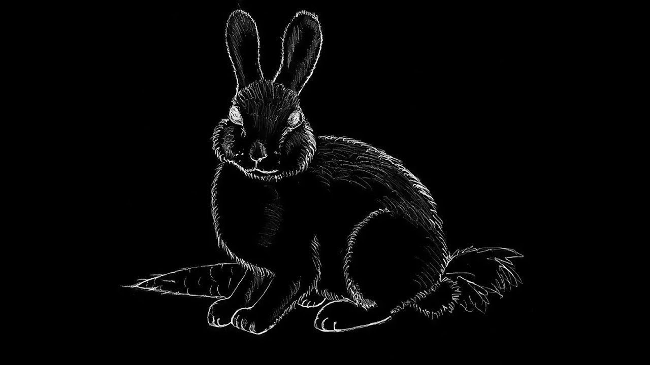 Белый заяц на черном фоне рисунок фото