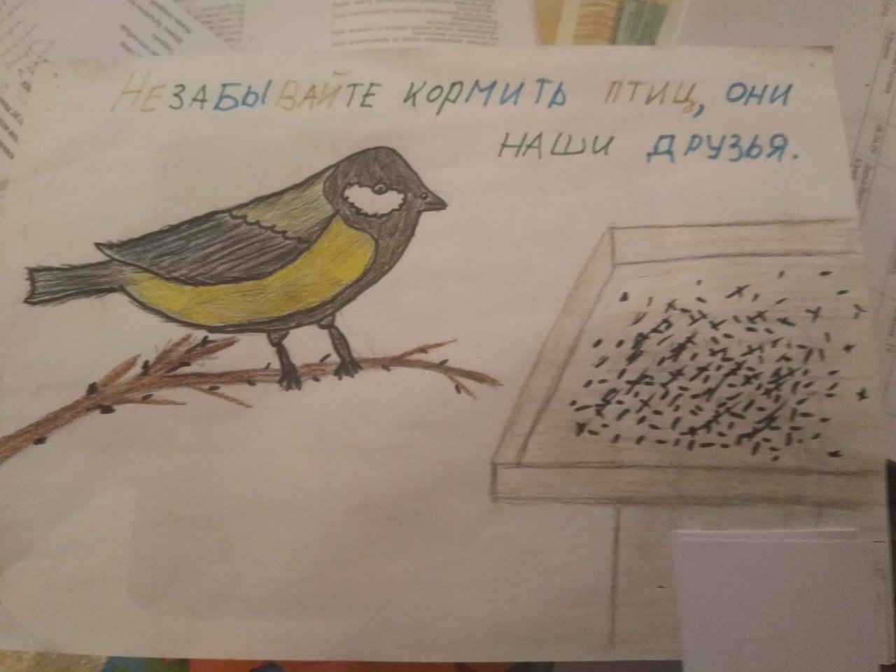 Берегите птиц детский рисунок фото