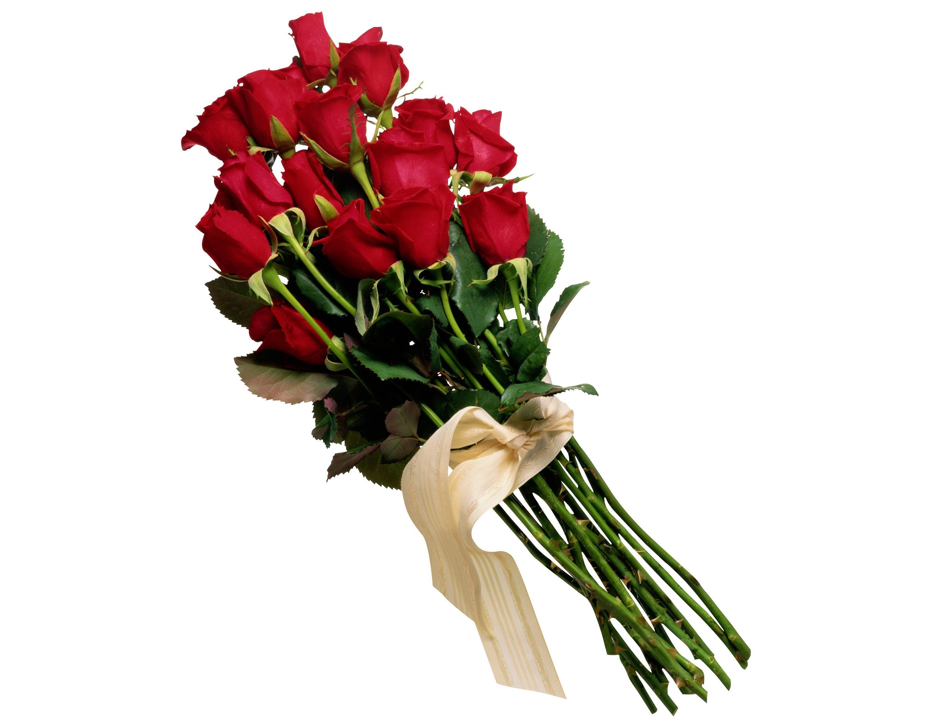 Букет красных роз на прозрачном фоне фото