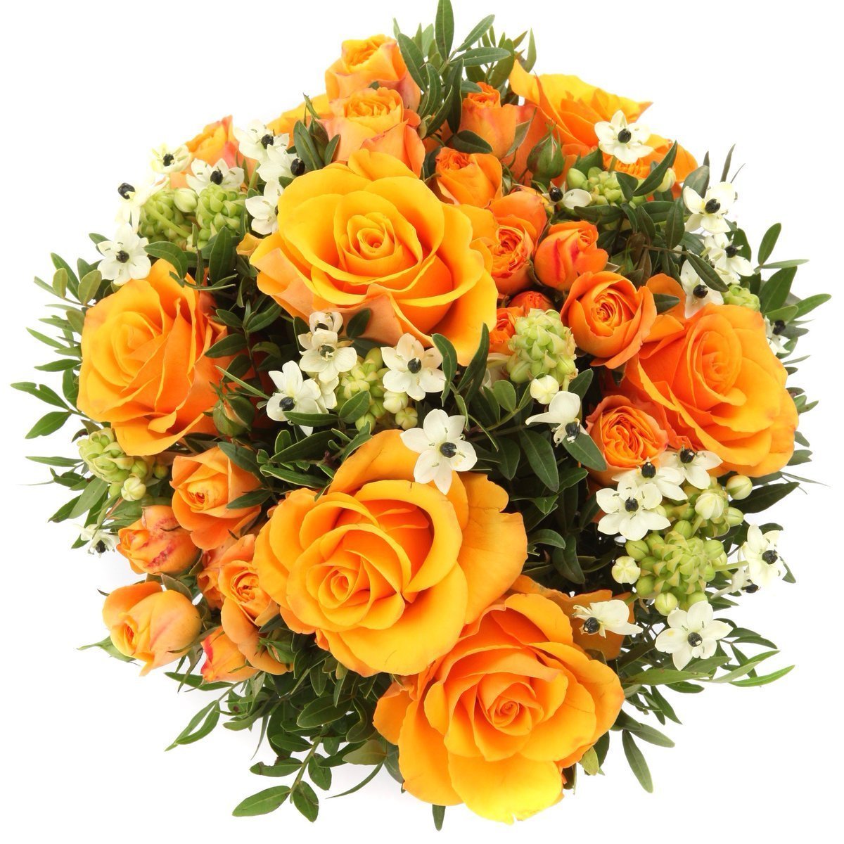 Букет оранжевых роз на прозрачном фоне фото