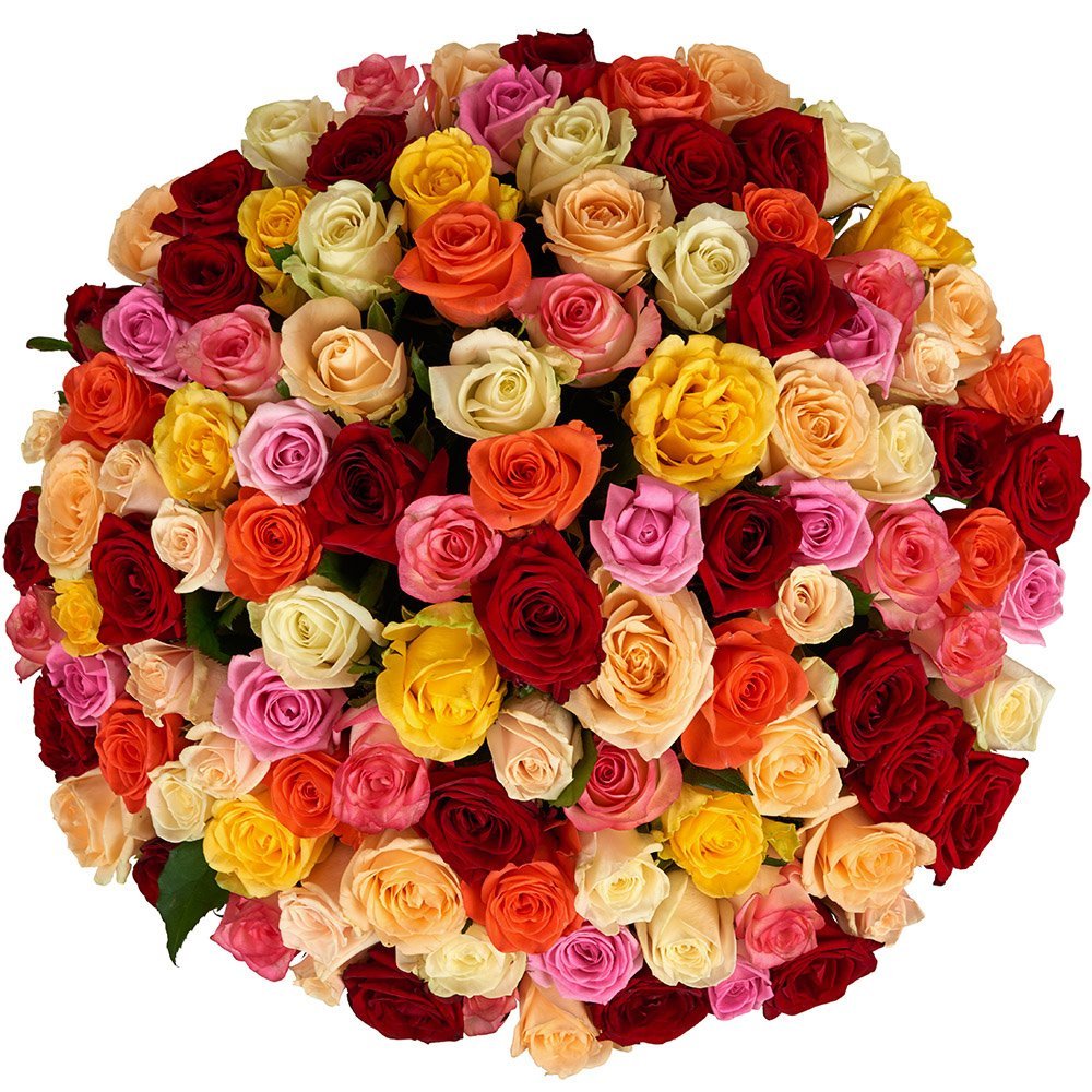 Букет разноцветных роз на прозрачном фоне фото