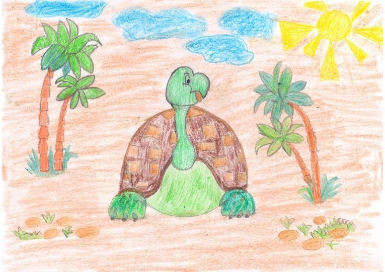 Черепаха детский рисунок фото