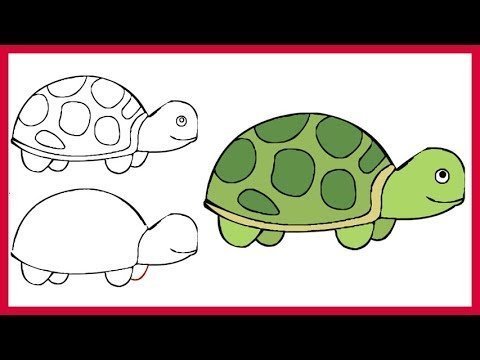 Черепаха поэтапно для детей рисунок фото