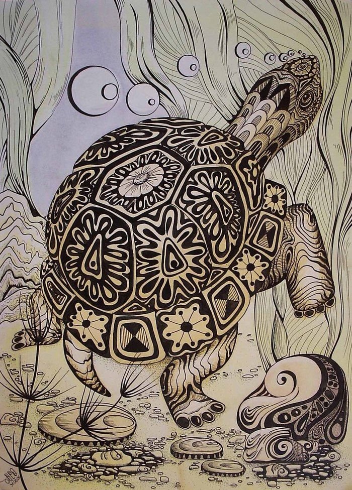 Черепаха животное рисунок фото