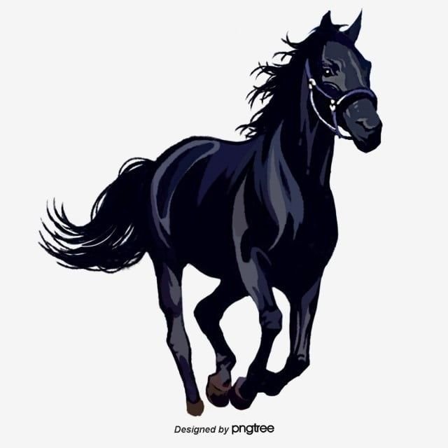 Черный конь на белом фоне рисунок фото