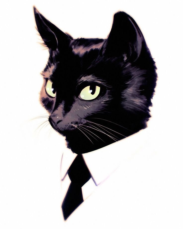 Черный кот рисунок арт фото