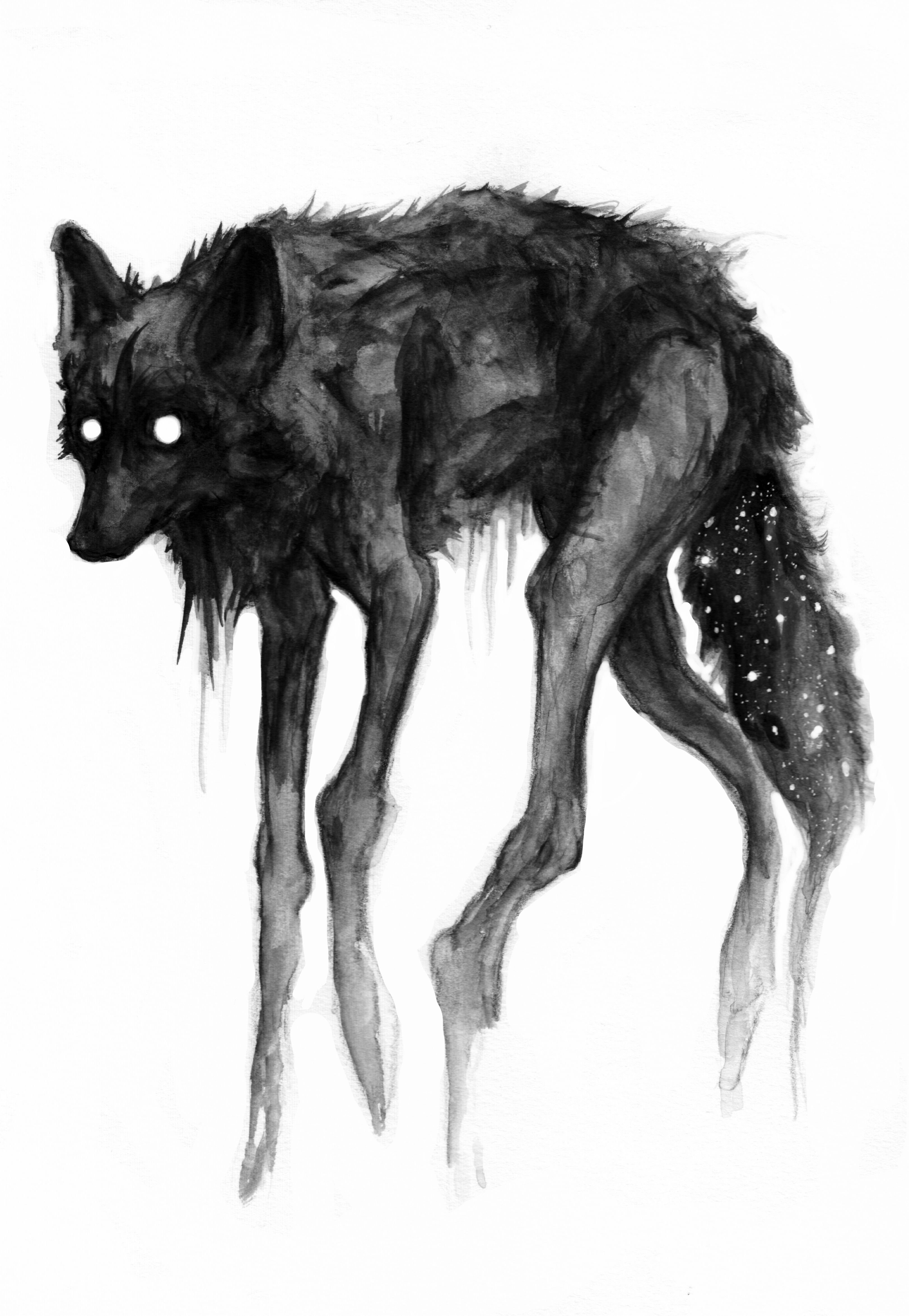 Черный волк рисунок арт фото