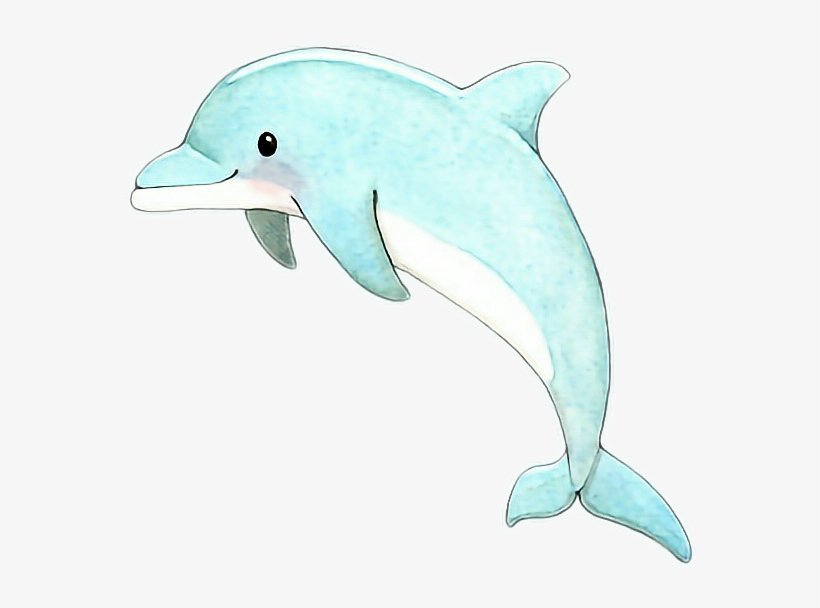 Дельфин рисунок животное фото