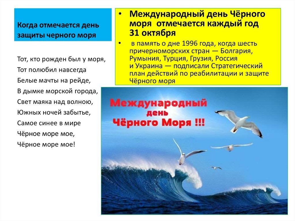 День защиты черного моря рисунки фото