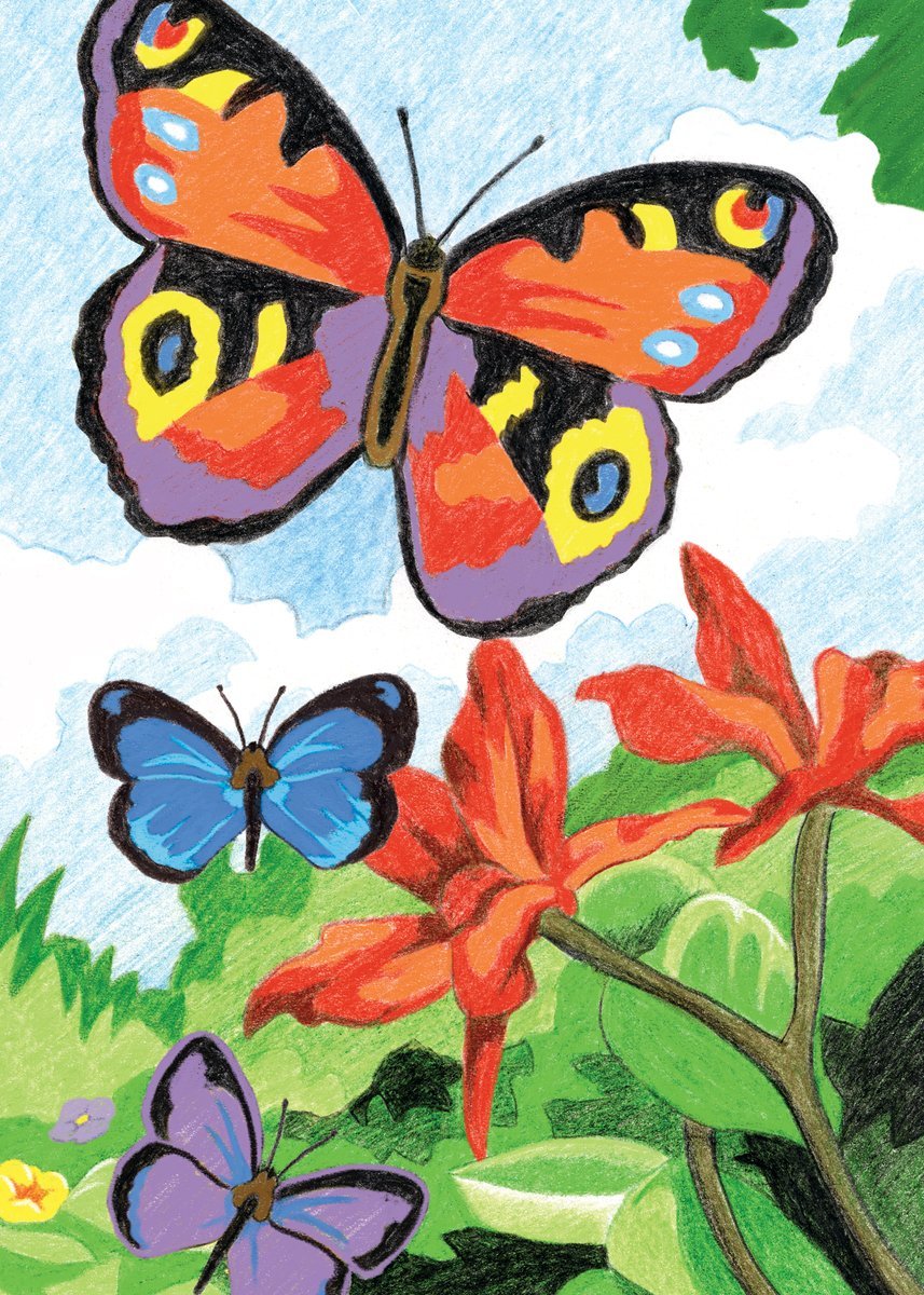 Детские рисунки бабочки на лугу фото