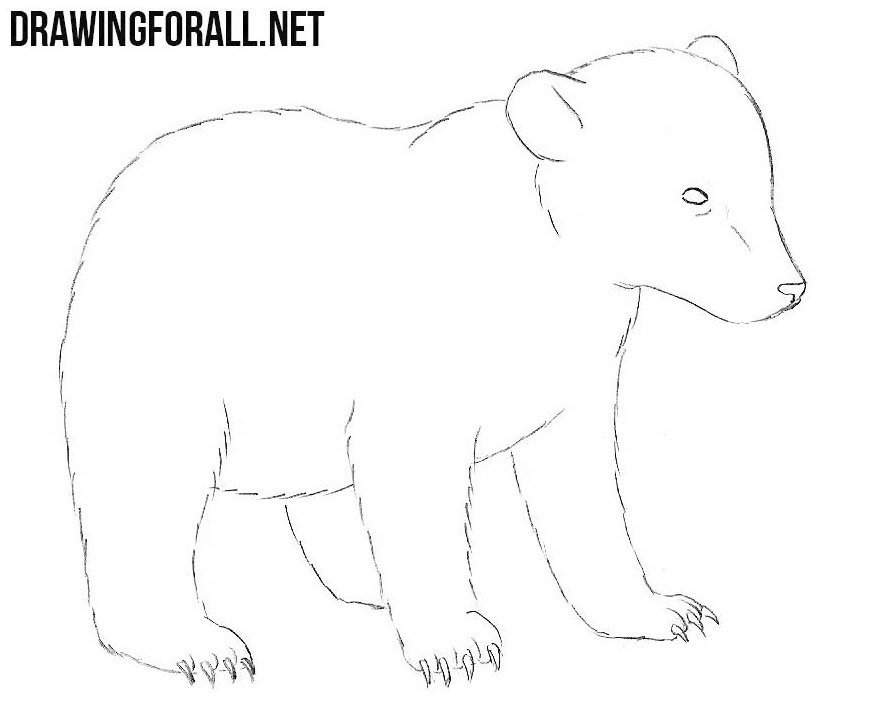 Детские рисунки медведя легкие рисунки медведя фото