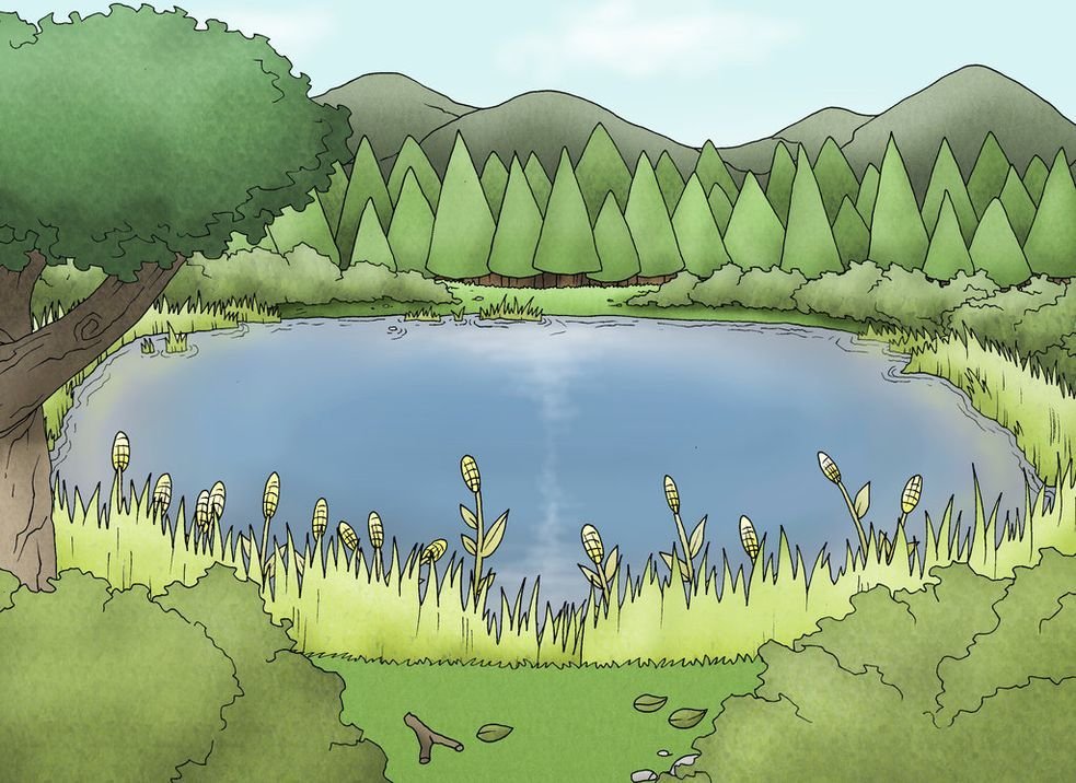 Детские рисунки озеро в лесу картинки фото