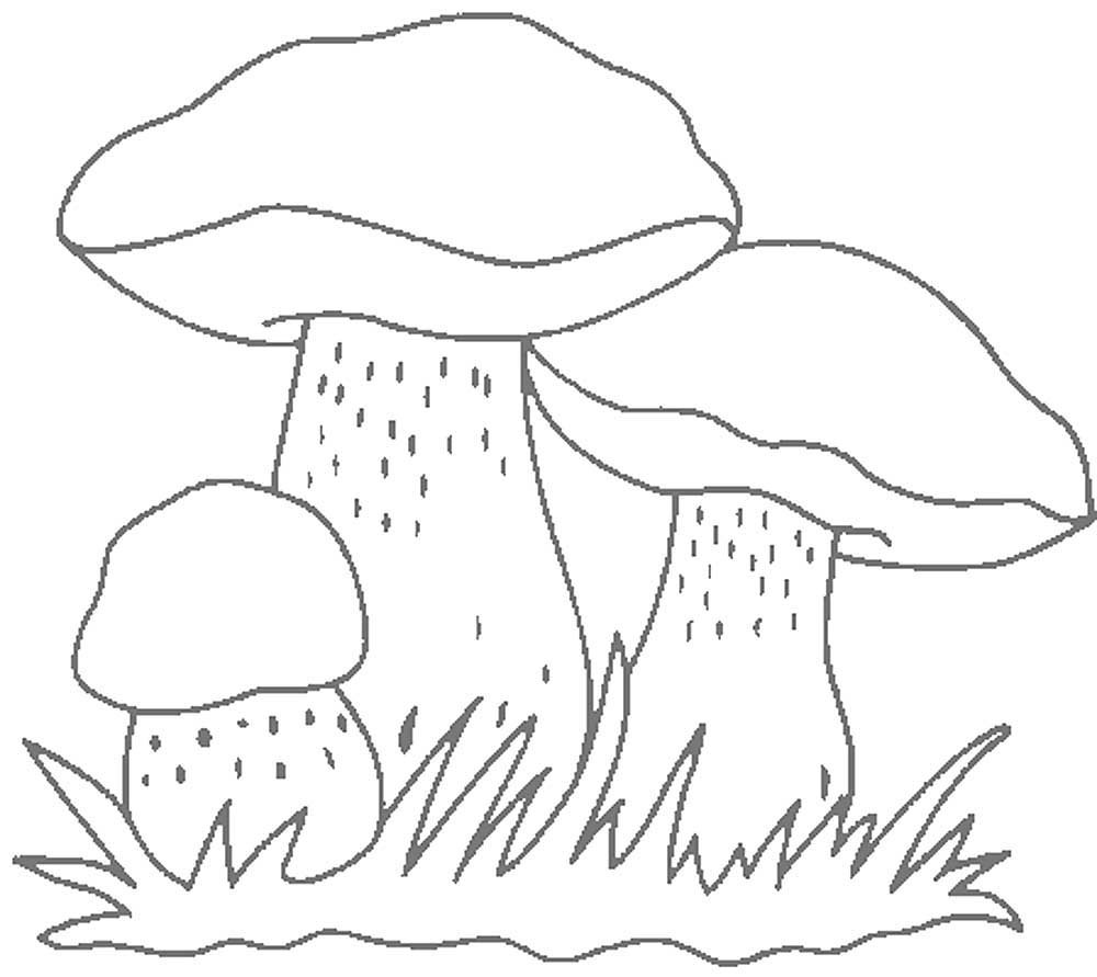 Детский рисунок белый гриб фото
