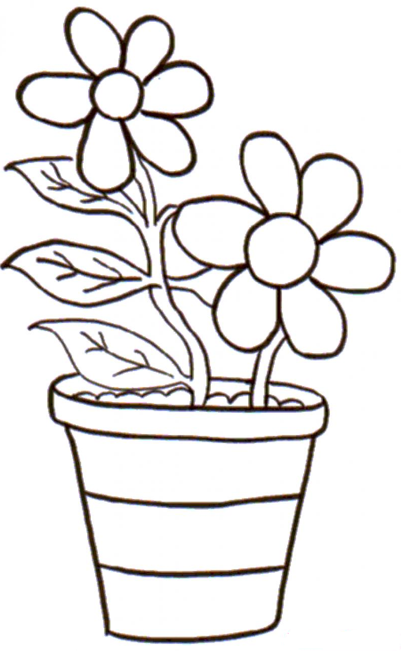 Детский рисунок домашнего цветка фото