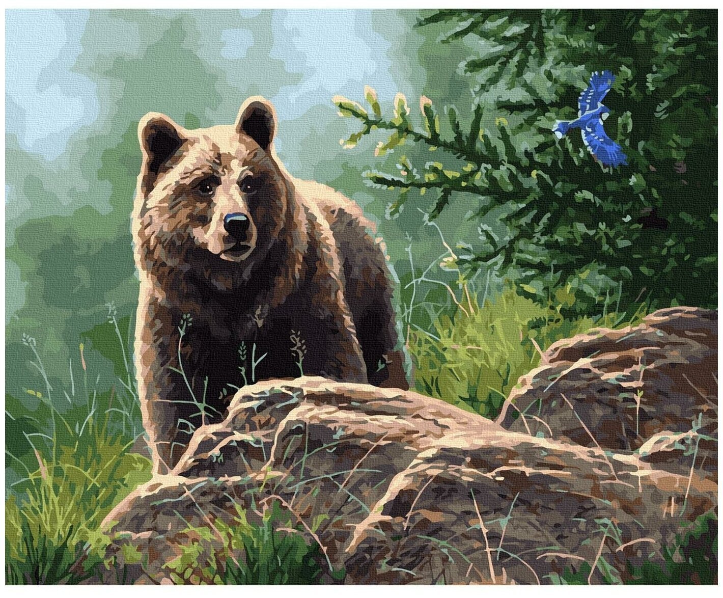 Детский рисунок медведь в лесу фото