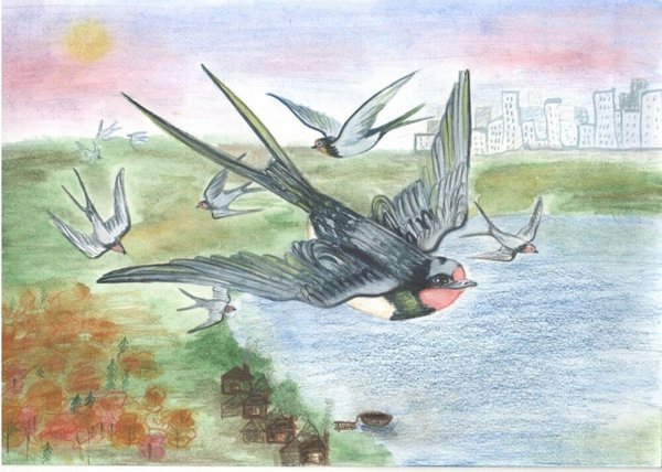 Детский рисунок перелетные птицы фото