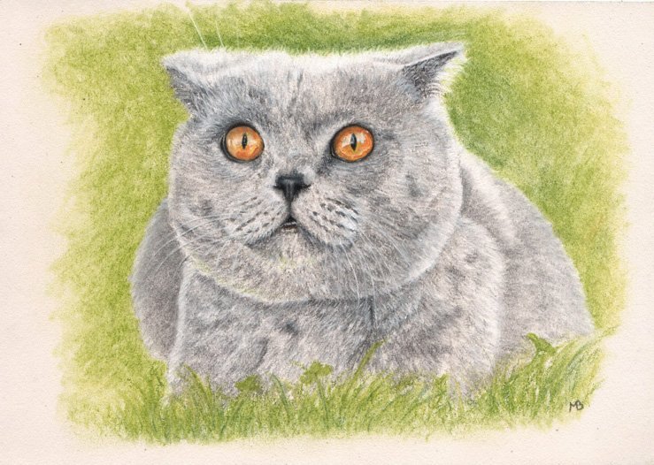 Детский рисунок серого кота фото