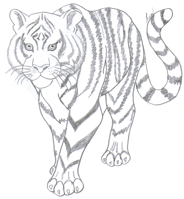 Детский рисунок тигра карандашом легко и красиво фото