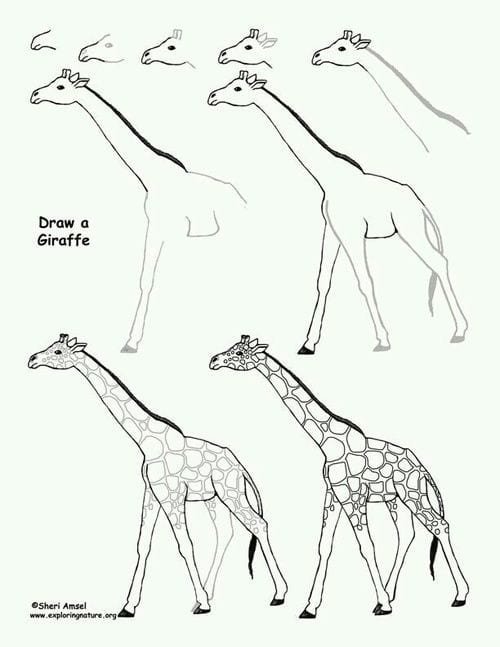 Детский рисунок жираф пошагово фото