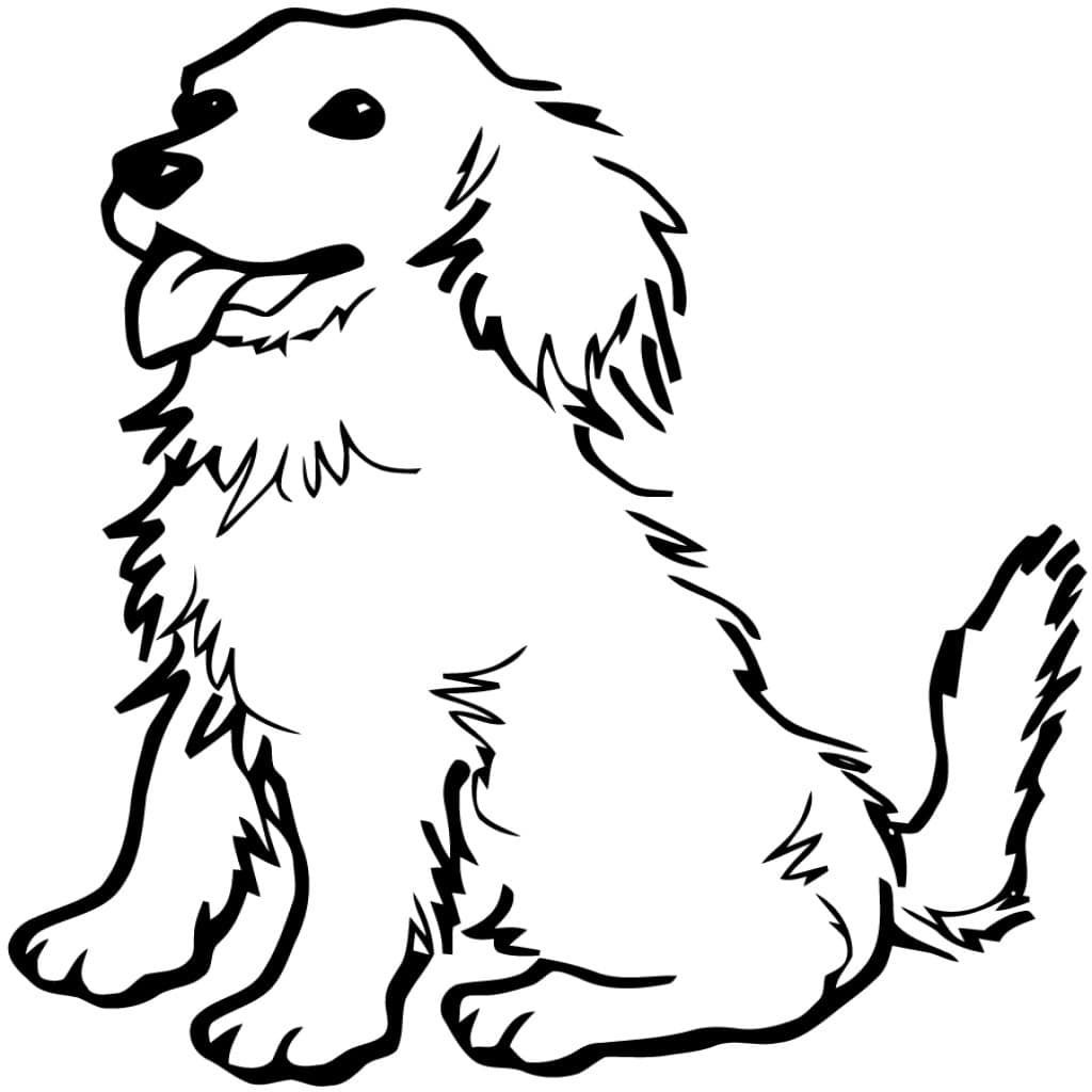 Домашние животные рисунок для детей собака фото