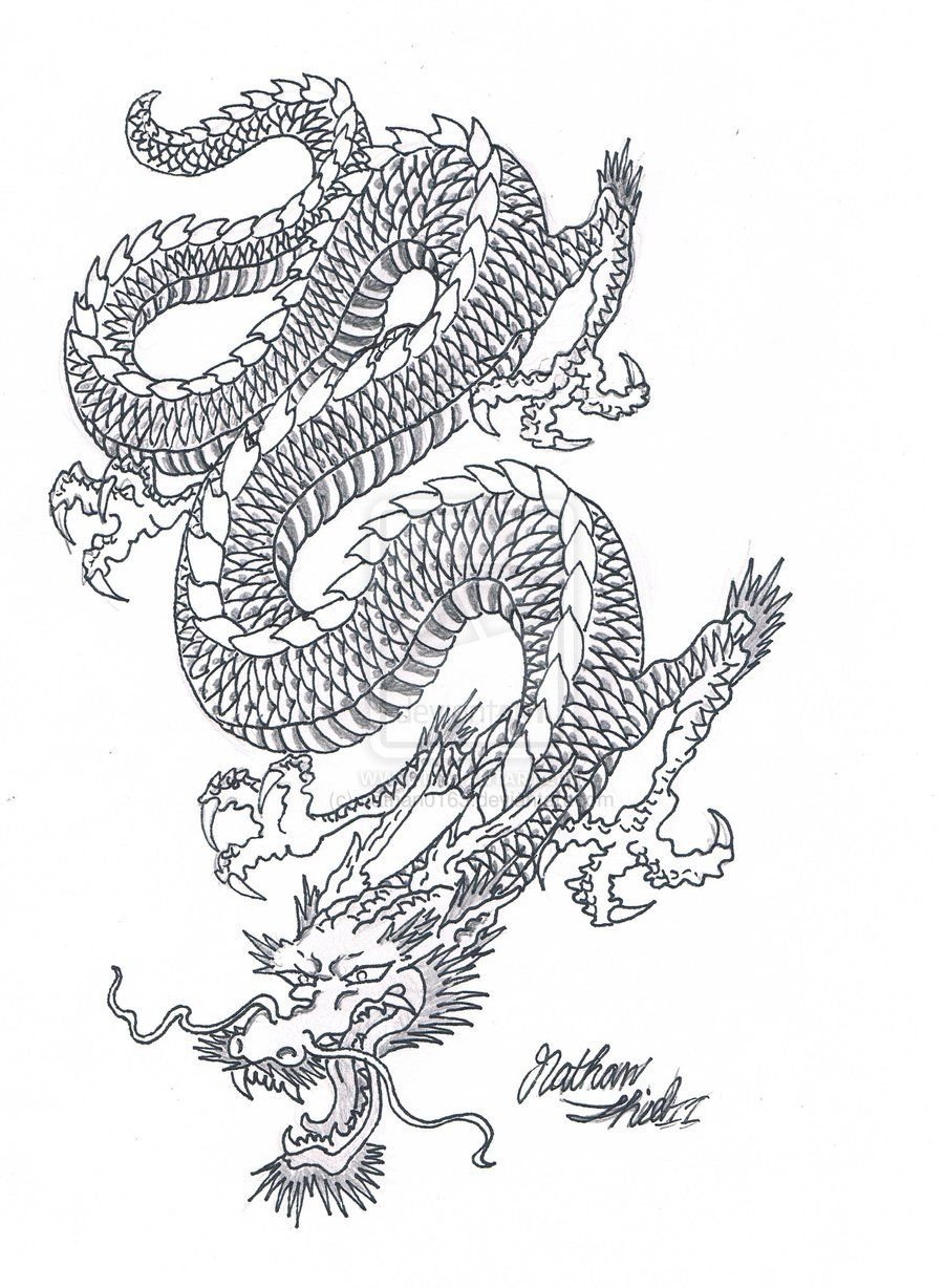 Дракон контурный рисунок китайский фото