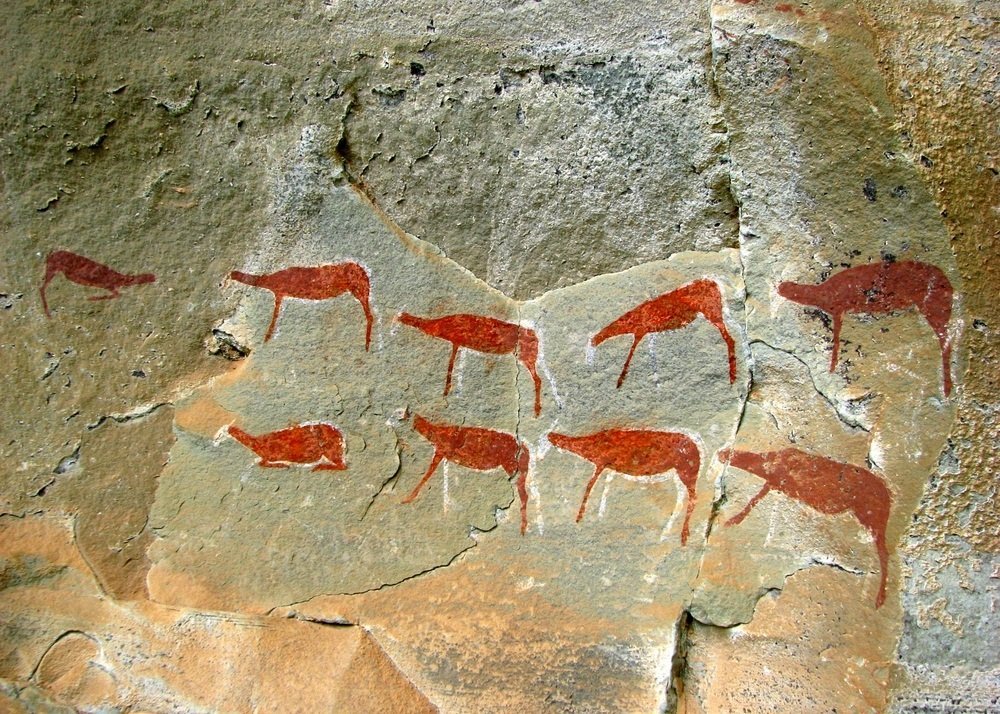 Древние рисунки животных на камнях фото