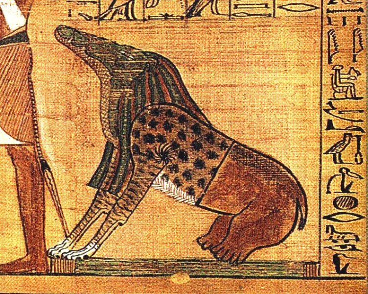 Египетское животное рисунок фото