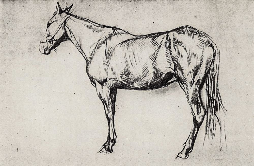 Эскиз рисунка коня фото