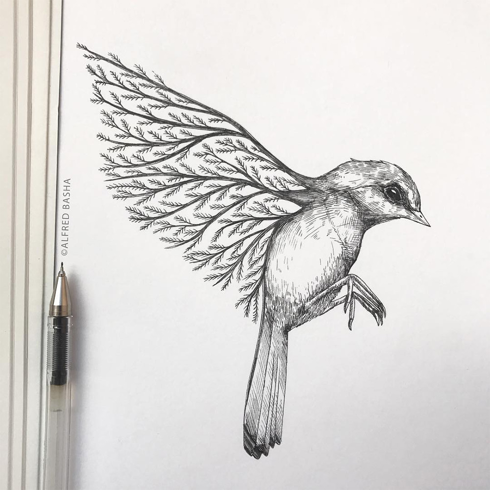 Эскиз рисунка птички фото