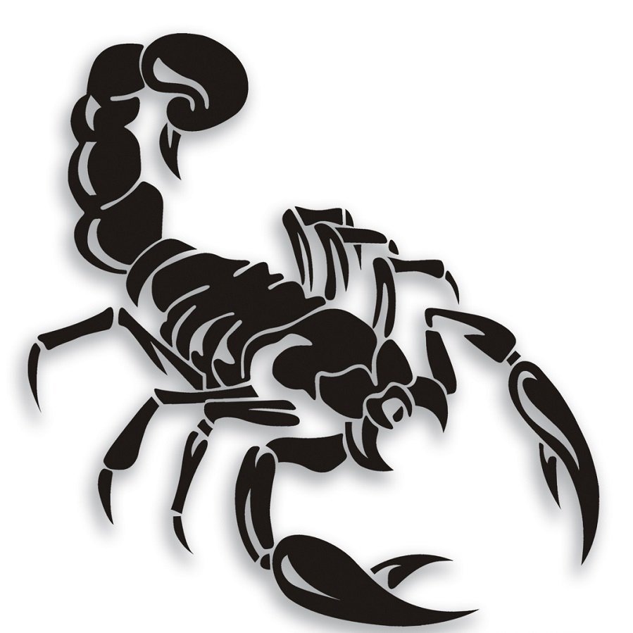 Эскиз рисунка скорпиона фото
