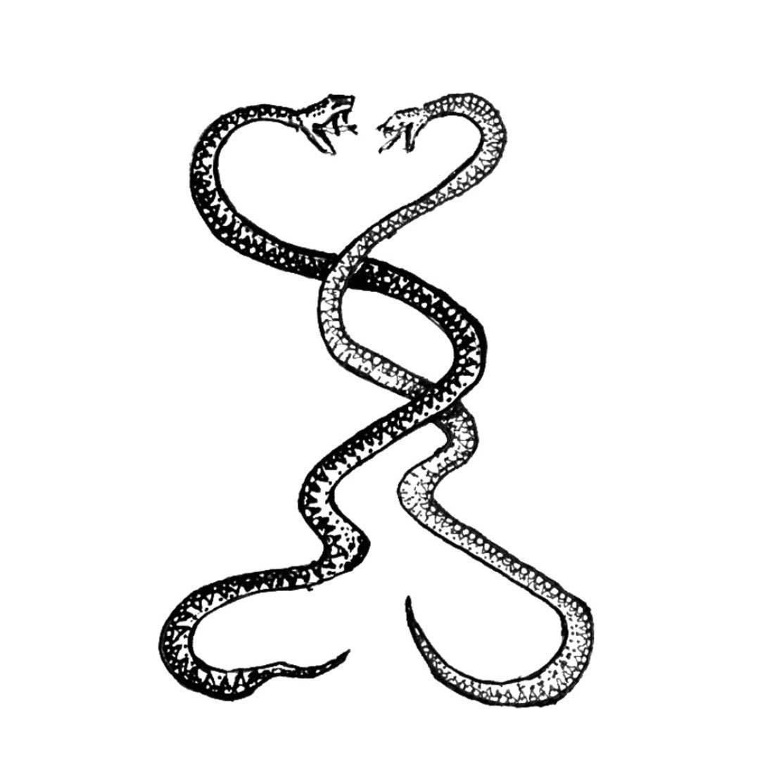 Эскиз рисунок змеи фото